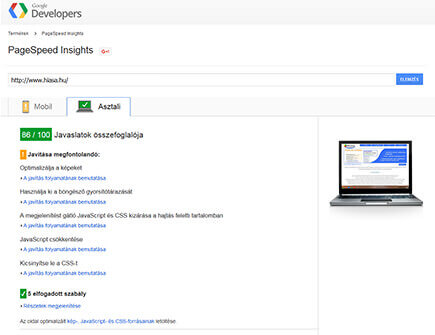PageSpeed Insight